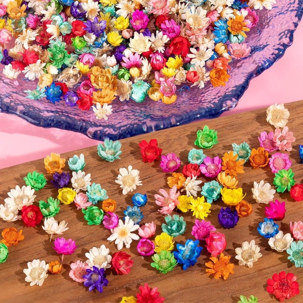 1800 PCS Small for Crafts Resin - Tiny for Nails, Natural Real Dried Pressed Flo